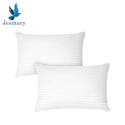 VỎ VÀ RUỘT GỐI KHÁCH SẠN